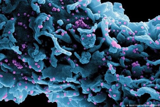 Phát hiện hơn 5.000 loài virus bí ẩn dưới đại dương