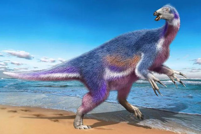 Tìm thấy khủng long 'Thần Chết' với bộ vuốt khổng lồ ở Nhật Bản