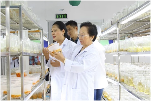Nguyên Phó Chủ tịch nước Nguyễn Thị Doan đến thăm Công ty Hoàng Linh Biotech.