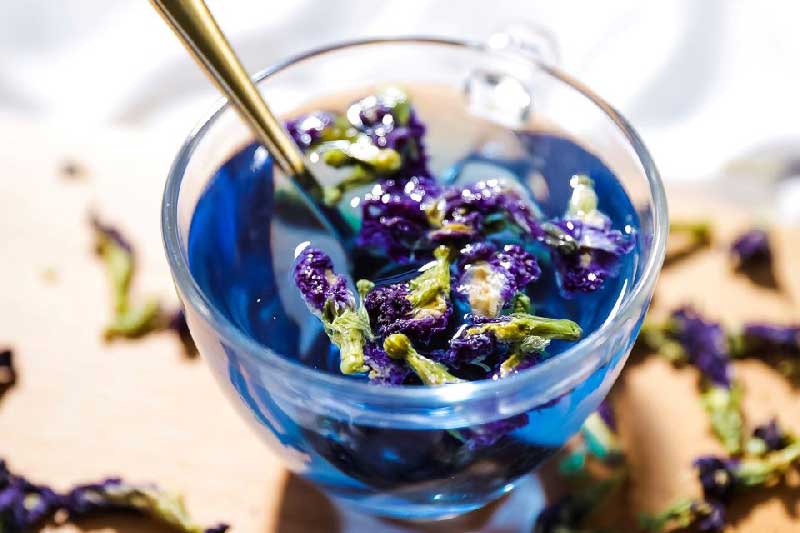 Những công dụng của trà hoa đậu biếc đối với sức khỏe