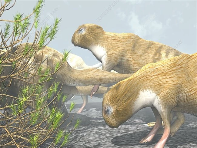 Nghiên cứu về loài gặm nhấm thời tiền sử, các nhà khoa học đưa ra sự thật bất ngờ về kích thước con vật bé tẹo ngày nay - Ảnh 3.