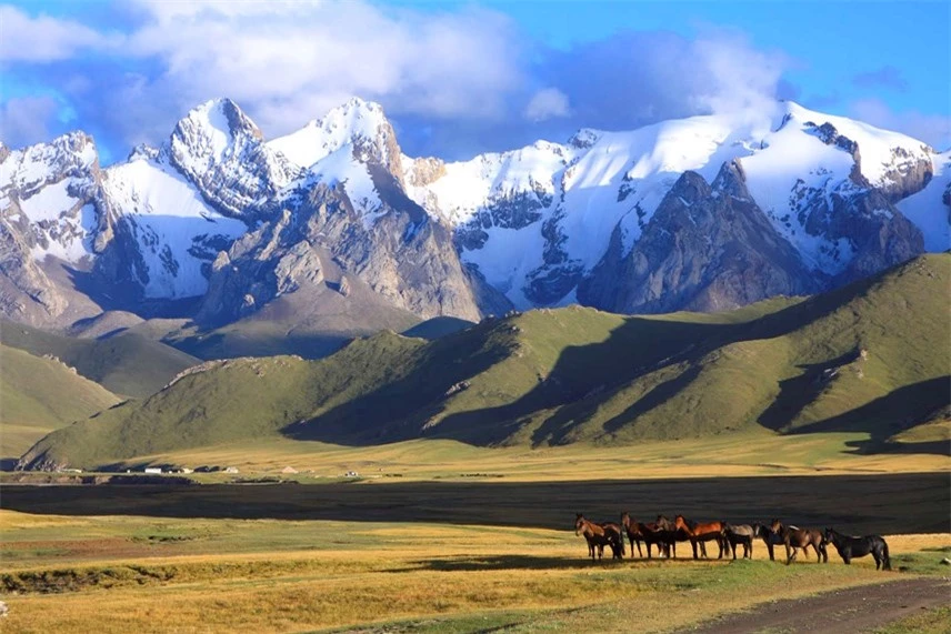 Vùng núi Tian Shan ở Kyrgyzstan, nơi các nhà khoa học xác định được nguồn gốc của đại dịch Cái chết Đen. Ảnh: CNN.