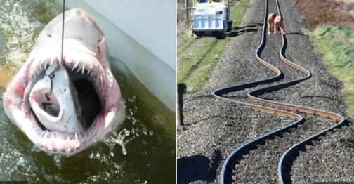 Những hình ảnh trông thì tưởng là Photoshop nhưng hóa ra là hàng thật 100%