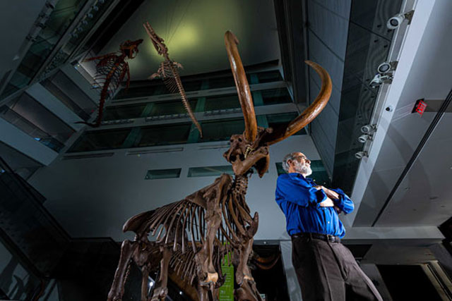 "Giám định pháp y" quái thú 8 tấn: Chết thảm khốc vì giành bạn tình