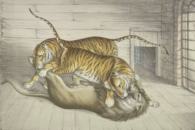 Những vườn thú đầu tiên trên thế giới