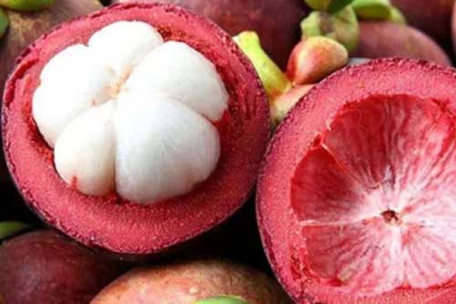 Mua măng cụt cứ nhắm quả to là sai lầm: Chỉ cần nhìn đúng điểm này là chọn được quả ngon, ngọt lịm