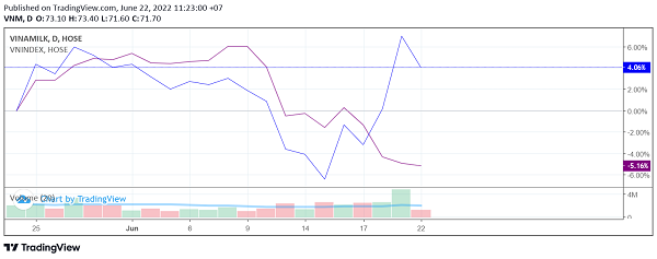 Giá cổ phiếu VNM trong tương quan với VNIndex trong 1 tháng. (VNM: Đường kẻ xanh, VNIndex: Đường kẻ tím). Nguồn: TradingView