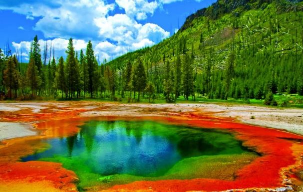 Kỳ thú công viên quốc gia