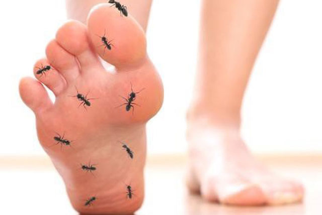 Cảm giác "kiến bò" ở bàn chân là dấu hiểu của bệnh gì?