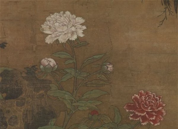 Hoa nở trong Cố cung - Thược dược: Loài hoa tháng Năm hiện lên đầy tinh tế trong tranh cổ - Ảnh 4.