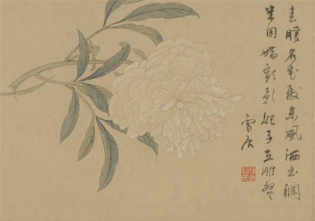 Hoa nở trong Cố cung - Thược dược: Loài hoa tháng Năm hiện lên đầy tinh tế trong tranh cổ - Ảnh 7.