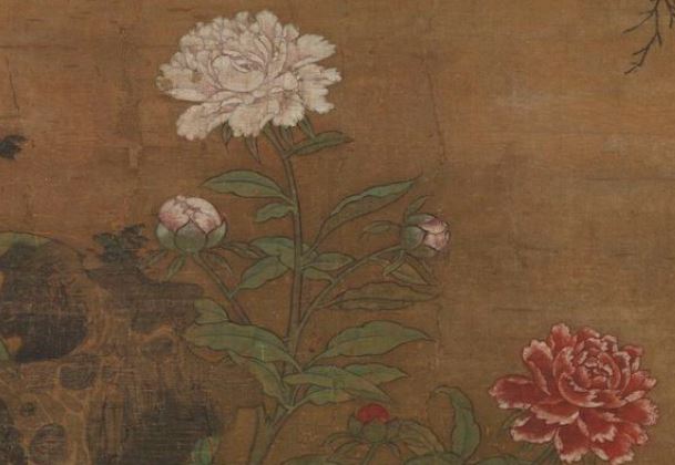 Hoa nở trong Cố cung - Thược dược: Loài hoa tháng Năm hiện lên đầy tinh tế trong tranh cổ Trung Quốc