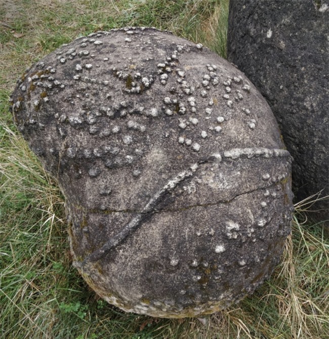 Bí ẩn những tảng đá ví như sinh vật sống khiến khoa học bối rối: Mọc lên như nấm mỗi lần có mưa, lại còn &quot;biết đi&quot; - Ảnh 6.
