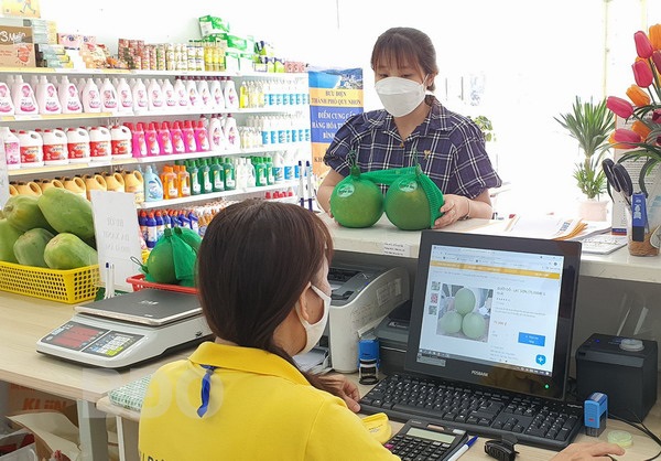 Bình Định: Hỗ trợ doanh nghiệp đẩy mạnh phân phối sản phẩm qua thương mại điện tử 