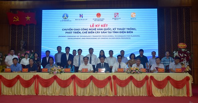 Chuyển giao công nghệ trồng sâm Hàn Quốc tại Điện Biên