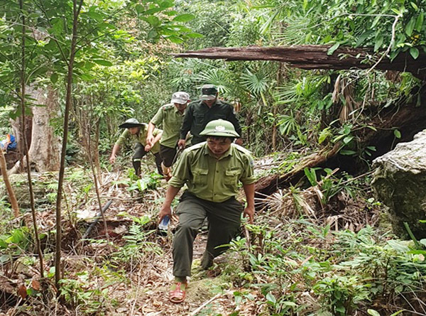 Đà Nẵng: Triển khai ứng phó nguy cơ cháy rừng mức cực kỳ nguy hiểm