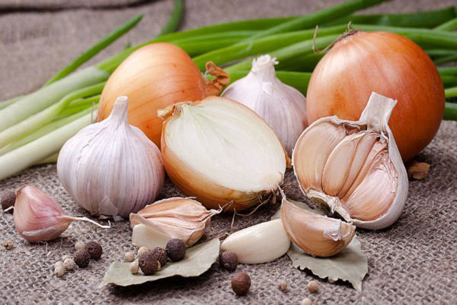 7 cách chống muỗi hiệu quả ai cũng làm được