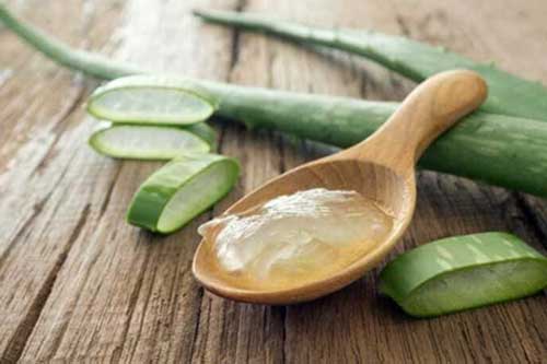 Sai lầm nhiều người mắc phải nhất khi sơ chế nha đam khiến lợi bất cập hại