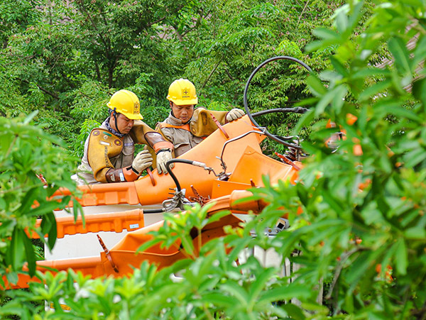 Đà Nẵng: Đảm bảo an toàn hệ thống điện quốc gia trước nguy cơ cháy rừng cao