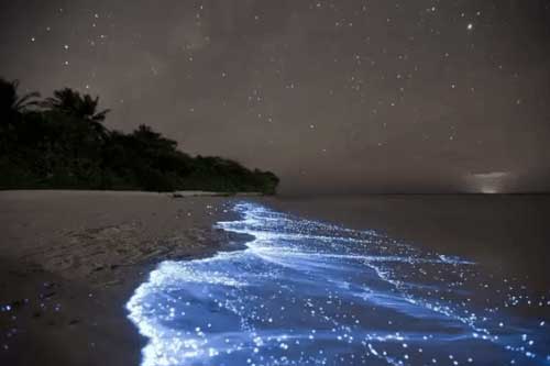 Giữa thiên đường Maldives tồn tại một bãi biển huyền ảo đến vô thực, được ví như dải Ngân hà
