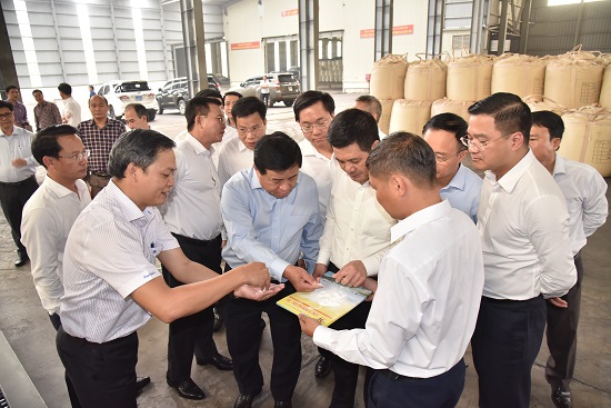 Công ty Nhôm Đắk Nông lo thiếu diện khai thác để cung cấp quặng phục vụ sản xuất