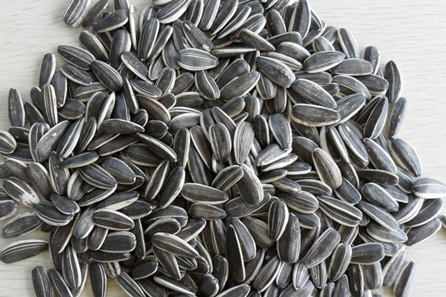 Lợi ích bất ngờ của hạt hướng dương có thể bạn chưa biết