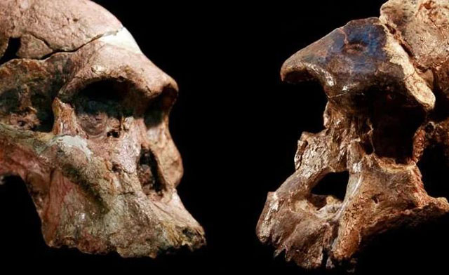 Phân tích "vật chất vũ trụ", tìm ra con người đầu tiên của Trái Đất?