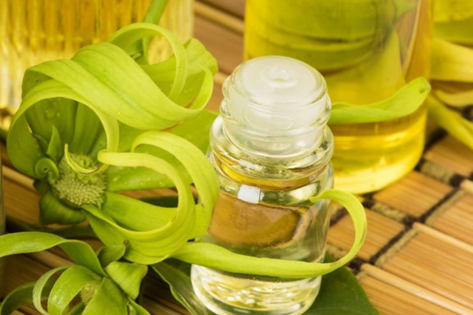 8 loại tinh dầu giúp giảm đau khớp và đầu gối hiệu quả