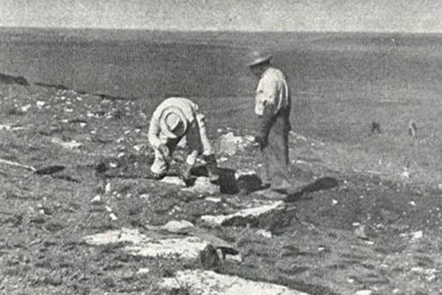 Tìm lại được “kho báu” hóa thạch mất tích sau 70 năm