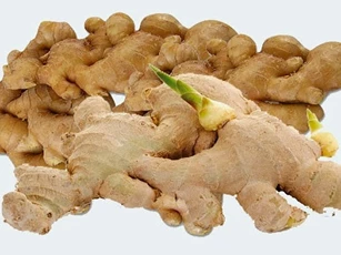Thực phẩm là "thần dược" cho sức khỏe khi nảy mầm