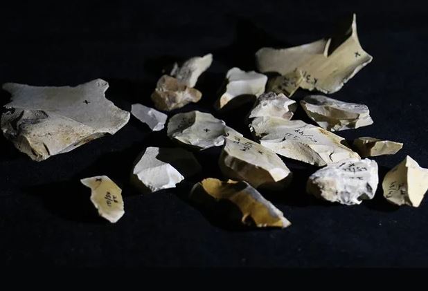 Các nhà khoa học đã phải nhờ vào AI để trả lời câu hỏi: Con người sơ khai bắt đầu sử dụng lửa khi nào?