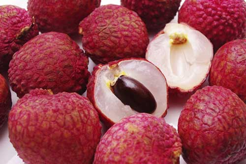 Ăn vải ngon miệng nhưng dễ nổi mụn, nóng trong: 6 cách 'giảm nhiệt' giúp bạn ăn no vải cũng chẳng sao