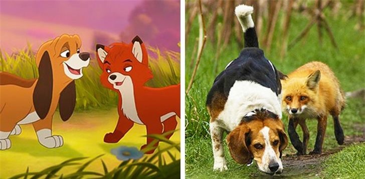 Bất ngờ phát hiện các loài động vật ở đời thực là bản sao của loạt nhân vật trong phim hoạt hình - Ảnh 5.