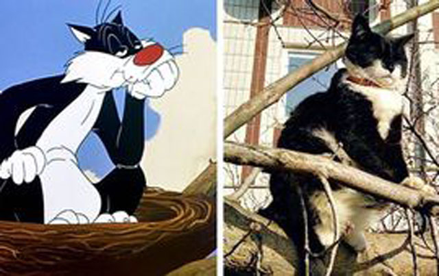 Bất ngờ phát hiện các loài động vật ở đời thực là "bản sao" của loạt nhân vật trong phim hoạt hình