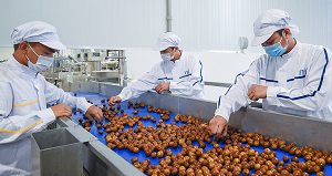 Nhật Bản là quốc gia có nhiều thông báo nhất về an toàn thực phẩm, kiểm dịch động thực vật tới Việt Nam