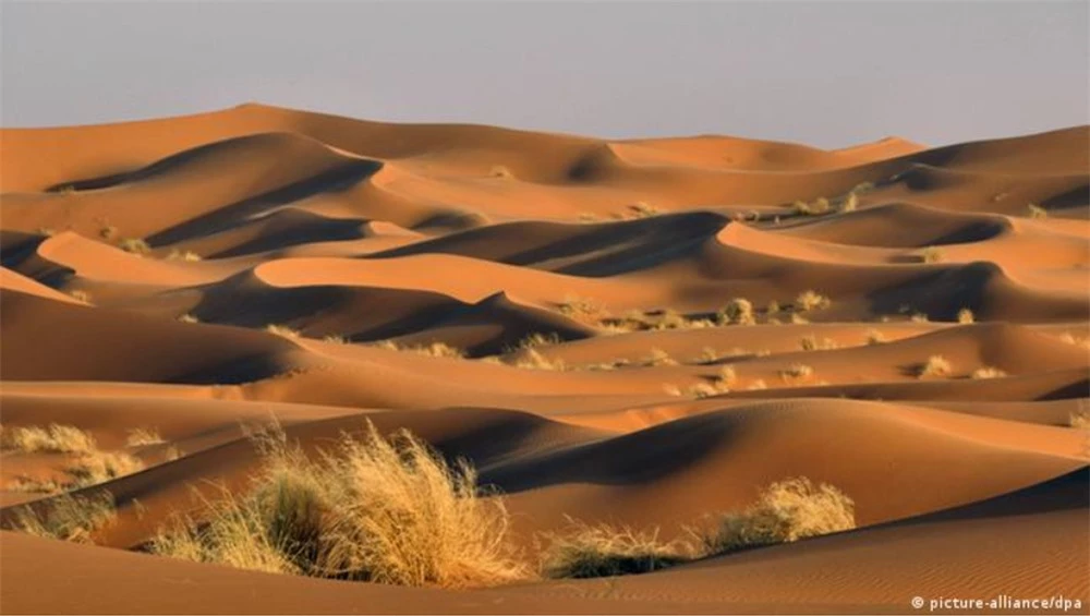 Dùng radar đo độ sâu sa mạc Sahara, các nhà khoa học phát hiện ra thứ khổng lồ bên dưới - Ảnh 1. Dùng radar đo độ sâu sa mạc Sahara, các nhà khoa học phát hiện ra thứ khổng lồ bên dưới - Ảnh 1.