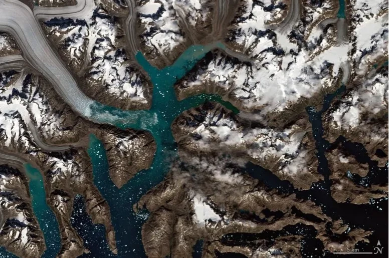 This is the Tingmiarmiut fjord, which is part of the Southeast Greenland polar Bear population's habitat in summer. The floating glacial ice in the dark water is from the central Heimdal glacier. This image was taken by the Operational Land Imager (Landsat 8) on August 8, 2021. Credit to NASA's Earth Observatory.