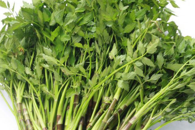 Những người tuyệt đối không được ăn rau cần