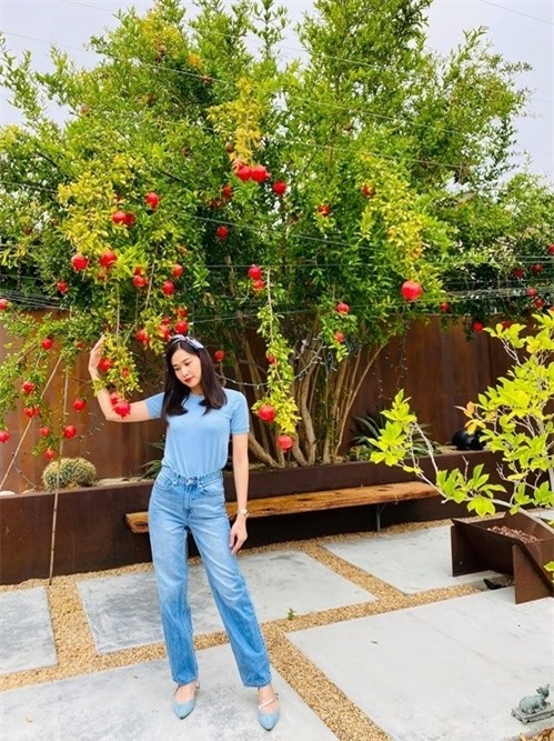 Hè về, vườn nhà Hoa hậu Dương Mỹ Linh tràn ngập hoa trái khiến fan mê mẩn