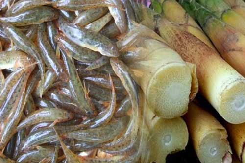 6 thực phẩm quen thuộc có chứa chất độc, ăn vào nhẹ thì cấp cứu nặng thì không qua khỏi