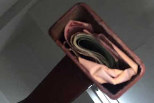 Thấy mèo cưng nhìn chằm chằm vào tay nắm cầu thang, vợ phát hiện bí mật động trời mà chồng giấu bấy lâu nay