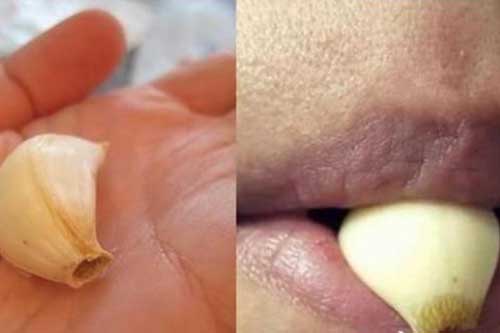 Ngậm tép tỏi giữa 2 môi mỗi sáng 30 phút, điều kỳ diệu sẽ xảy ra