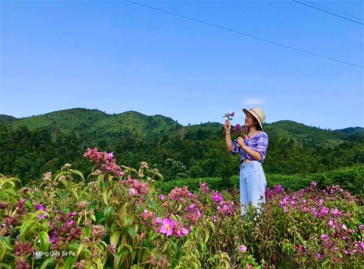 'Hồ nước trên mây' cao nhất Đông Dương, đẹp như thiên đường nằm sát Sapa - 4