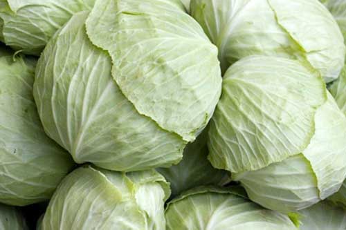 7 thực phẩm rẻ tiền đào thải độc tố khỏi cơ thể: Ăn nhiều gan thận khỏe re, tăng cường đề kháng