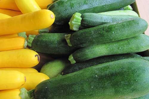 Có một loại bí siêu tốt cho sức khỏe, làm tăng miễn dịch, làn da, mái tóc được hưởng lợi mượt mà, căng bóng