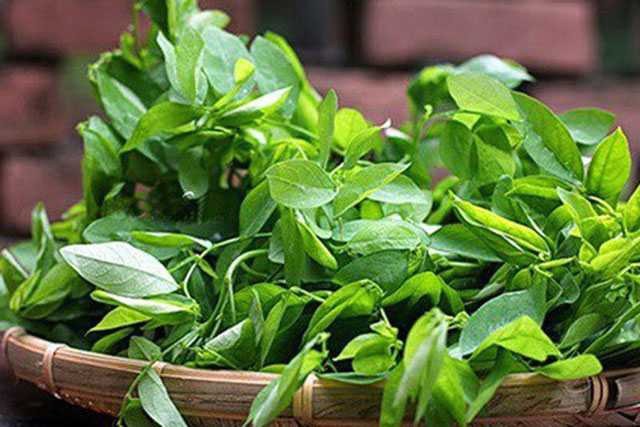Những người không được ăn rau ngót