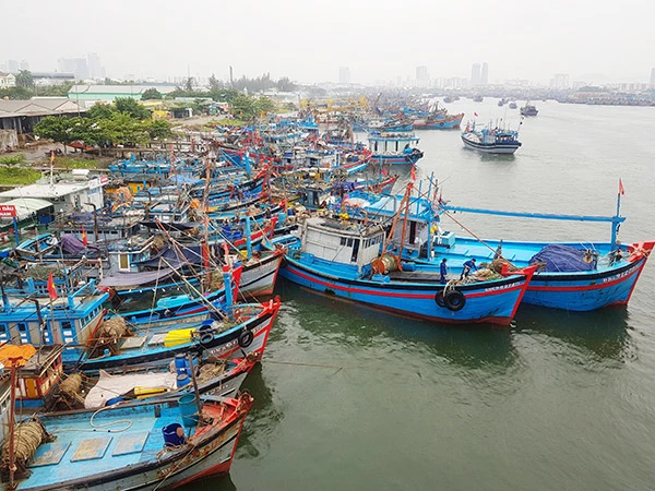 Hơn 50% tàu cá của ngư dân Đà Nẵng không thể ra khơi do giá xăng, dầu tăng quá cao