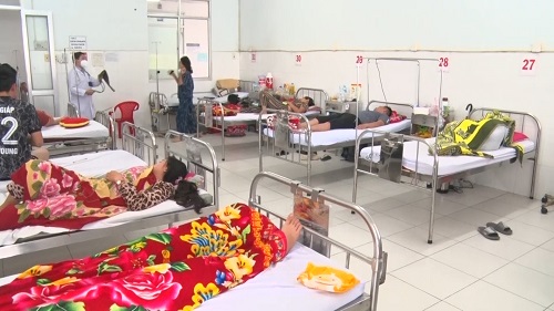 Kiên Giang:  Nguy cơ cao bùng phát dịch sốt xuất huyết ở Phú Quốc
