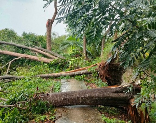 Sóc Trăng: Hỗ trợ người dân khắc phục hậu quả do mưa lớn kèm theo lốc xoáy 