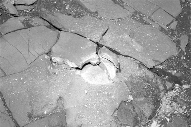 NASA tung ảnh "dải thịt xông khói" ngoài hành tinh: Sự sống ẩn mình?